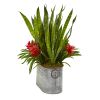 Bromeliad and Sansevieria Plant in Metal Planter