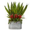 Bromeliad and Sansevieria Plant in Metal Planter