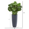 Fiddle Leaf Artificial Plant in Gray Planter