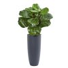 Fiddle Leaf Artificial Plant in Gray Planter