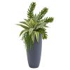 Sanseveria and Succulent Artificial Plant in Planter