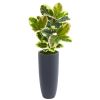 Rubber Leaf Artificial Plant in Planter (Real Touch)