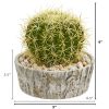Cactus Artificial Plant in Weathe Red Oak Planter