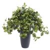 Dusty Miller Artificial Plant in Gray Planter
