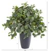 Fittonia Artificial Plant in Gray Planter (Real Touch)