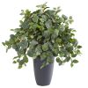 Fittonia Artificial Plant in Gray Planter (Real Touch)