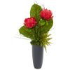 Musella Succulent and Grass Plant in Gray Planter