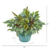 Mixed Fittonia and Ficus Plant in Turquoise Vase