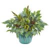 Mixed Fittonia and Ficus Plant in Turquoise Vase