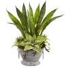 Sansevieria and Succulent Artificial Plant in Metal Bowl