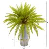 Fern Grass Artificial Plant in Stoneware Planter