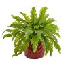 Fern Artificial Plant in Red Vase