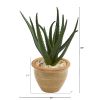 Aloe Artificial Plant in Decorative Vase