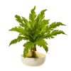 Fern Artificial Plant in Designer Vase