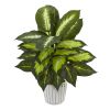 Dieffenbachia Artificial Plant in White Vase (Set of 2)