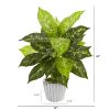 Dieffenbachia Artificial Plant in White Vase (Set of 2)