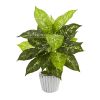 Dieffenbachia Artificial Plant in White Vase (Set of 2)