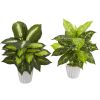Dieffenbachia Artificial Plant in White Vase (Set of 2)