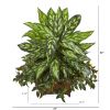 Silver King and Mini Melon Artificial Plant in Planter