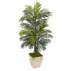 Areca Palm Artificial Plant in Country White Planter