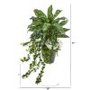 Silver King Ivy and Daisy Plant in Decorative Planter