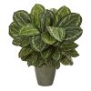 Maranta Artificial Plant in Decorative Planter