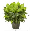 Dieffenbachia Artificial Plant in Green Planter