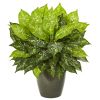 Dieffenbachia Artificial Plant in Green Planter