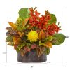 Cymbidium Orchid Bromeliad Croton and Pothos Plant