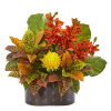 Cymbidium Orchid Bromeliad Croton and Pothos Plant