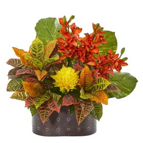 Cymbidium Orchid Bromeliad Croton and Pothos Plant