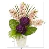 Cymbidium Orchid Musella Fan Palm and Pothos Plant