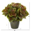 Coleus Artificial Plant in Green Planter (Real Touch)