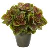 Coleus Artificial Plant in Green Planter (Real Touch)