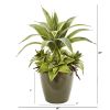 Sansevieria Artificial Plant in Planter