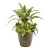 Sansevieria Artificial Plant in Planter