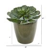 Giant Echeveria Succulent Artificial Plant in Planter