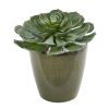 Giant Echeveria Succulent Artificial Plant in Planter