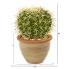 Cactus Artificial Plant in Decorative Ceramic Planter