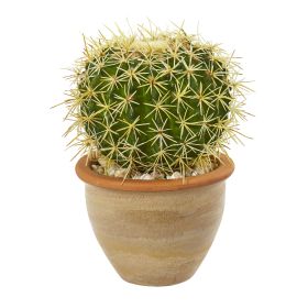 Cactus Artificial Plant in Decorative Ceramic Planter