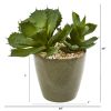 Succulent Artificial Plant in Decorative Planter
