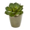 Succulent Artificial Plant in Decorative Planter