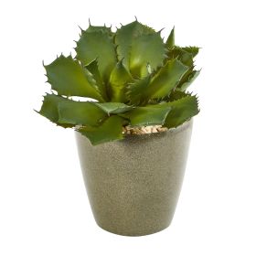Succulent Artificial Plant in Decorative Planter