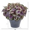 Begonia Artificial Plant in Gray Planter