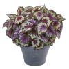 Begonia Artificial Plant in Gray Planter