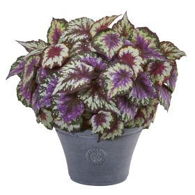 Begonia Artificial Plant in Gray Planter