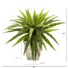 Asplenium Artificial Plant in Country White Planter