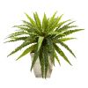 Asplenium Artificial Plant in Country White Planter