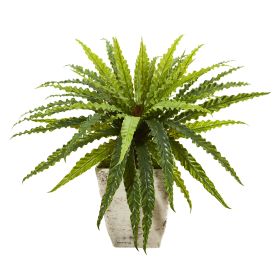 Asplenium Artificial Plant in Country White Planter