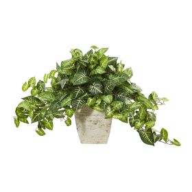 Nepthytis Artificial Plant in Country White Planter